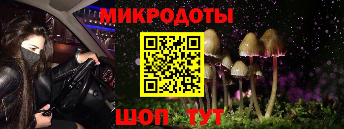 Псилоцибиновые грибы Cubensis Светлоград