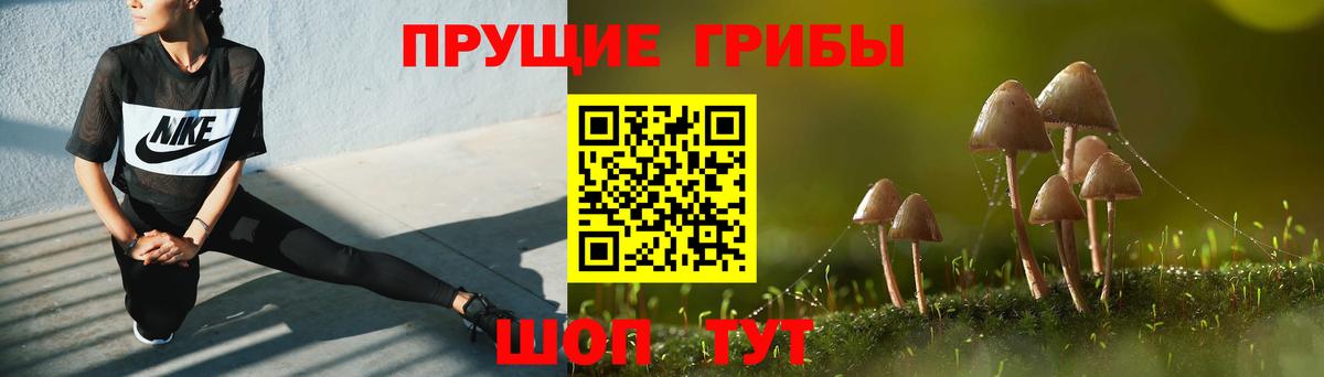 Псилоцибиновые грибы мицелий  Галлюциногенные грибы прущие грибы  Светлоград  Вход с VPN 